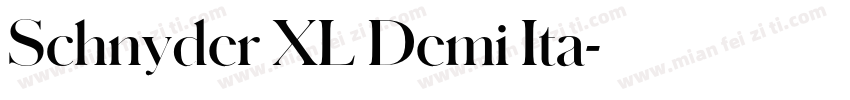 Schnyder XL Demi Ita字体转换